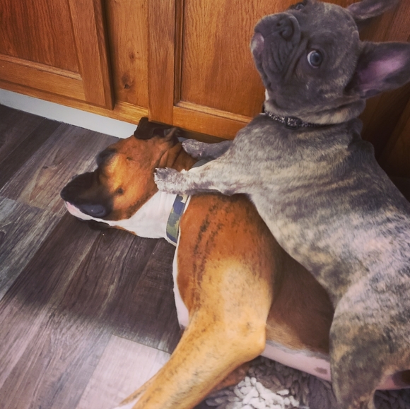 Meet your Posher, Trish - Picture 2 of 5